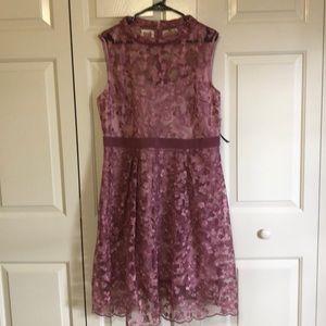 NWT👗 NY&C dress pink lace